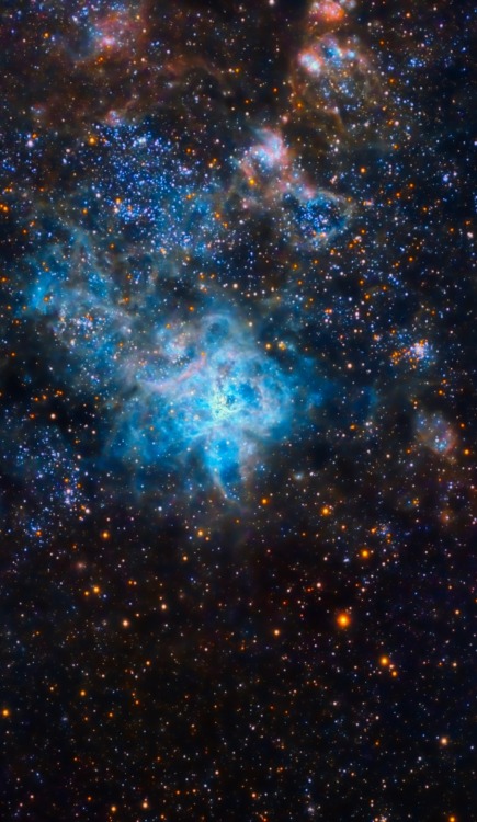 thedemon-hauntedworld: NGC 2070 HubbleCredit: NASA/Hubble, color/effects thedemon-hauntedworld 