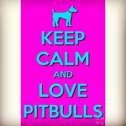 flowie623:  @jakob1746 #pitbulls