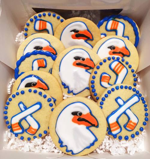 theamericanhockeyleague:  San Diego Gulls cookies