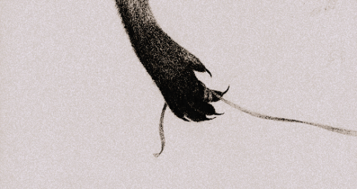 , :phase Two In A Study ( ) Cocoon, Tommy Ashby / Stars Sailor, Robert Weigand / Teen Wolf, S1 E6: Heart