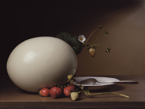 mpdrolet:  Still Life with Strawberries and Ostrich Egg, 2007 Sharon Core 