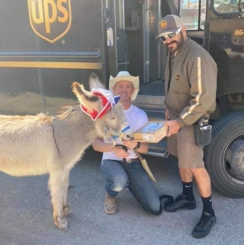 Walter the Orphan dogkey from Oatman Az loves receiving his package from Scott our towns Ups driver!