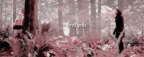 Swan Queen + First Meetings Throughout The Seasons