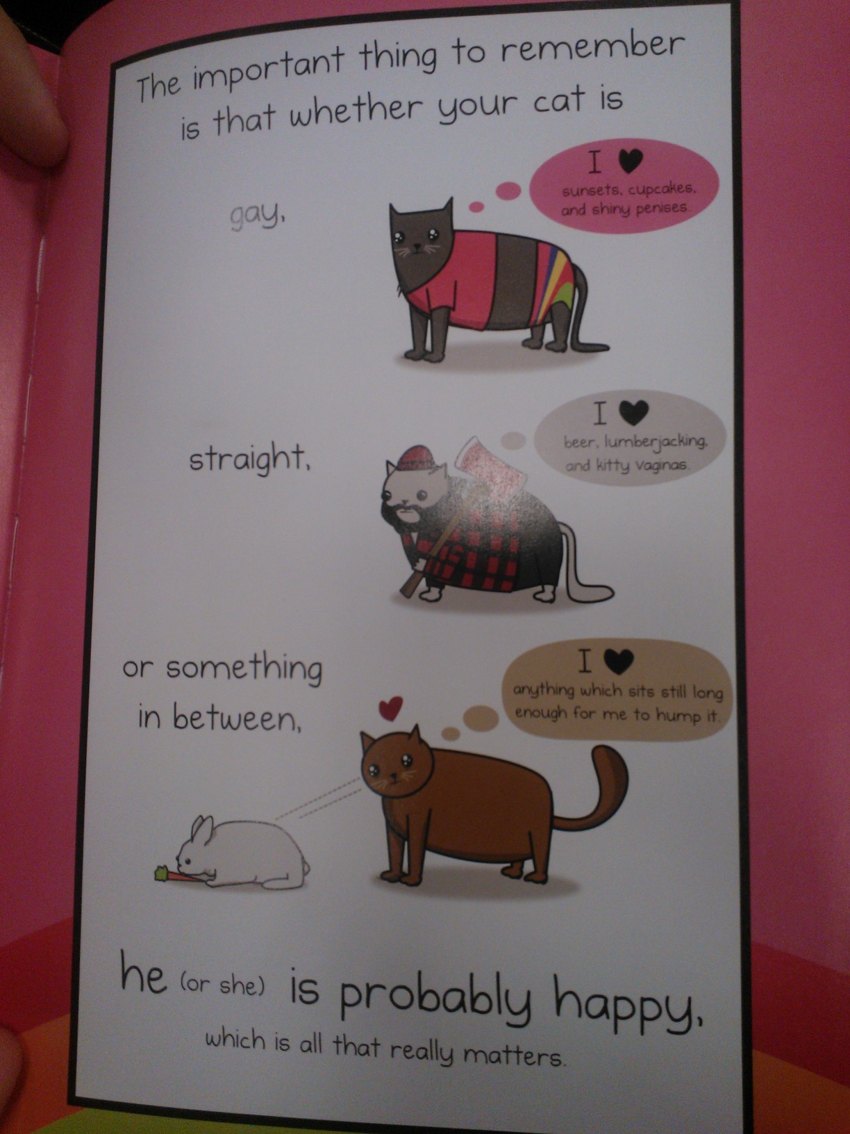 Just thought I&rsquo;d share this. It was in a book about whether your cat&rsquo;s