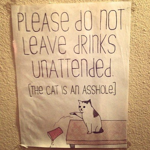 theclearlydope:  The struggle is real. [via] 