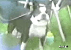 Cuando te mandas un Cagazo y tu Mamá te mira.