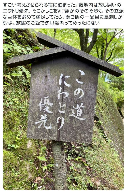 y-kasa:  成田 悠輔 「すごい考えさせられる宿に泊まった。敷地内は放し飼いのニワトリ優先、そこかしこをVIP鶏がのそのそ歩く。その立派な巨体を眺めて満足してたら、晩ご飯の一品目に鳥刺しが登場。旅館のご飯で沈思黙考ってめったにない