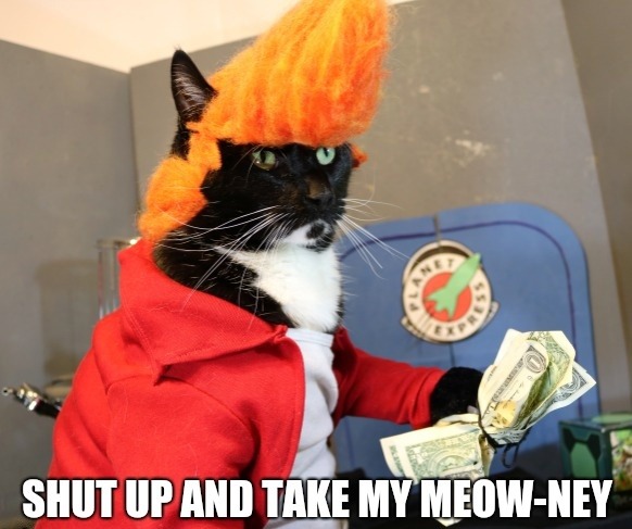 Cat Cosplay Of The Feline Variety