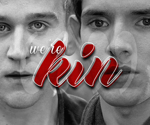 mxrisacoulter:#camelove2021 | Day 6: Always by your side (side characters) ↳ Gilli + Merlin 