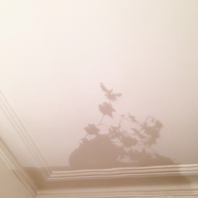  le.vert / mrnbtrn 