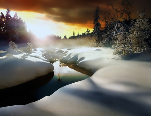 wanderingredleaves:Stina Gevelt