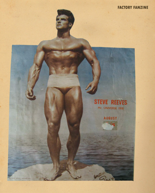 steven-myself:Steve Reeves Scrapbook - FACTORY Fanzine XXXIII
