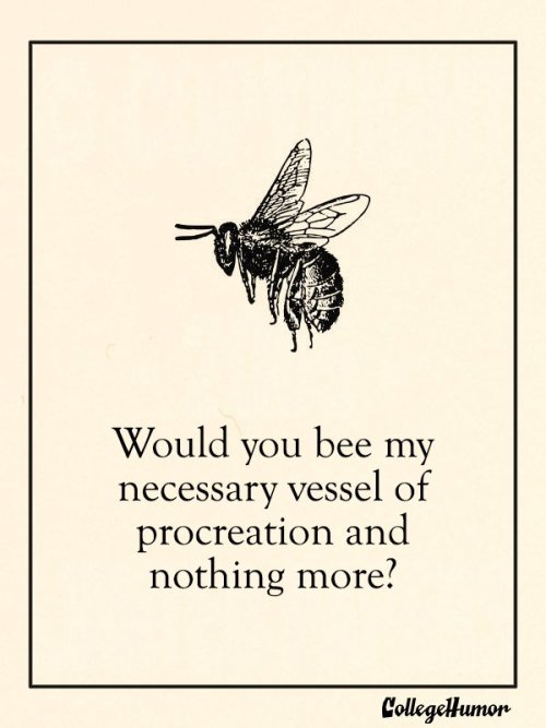 vastderp:littlehouseontheprisonfarm:Puritan Valentine’s Day cards. For the one you have gravely comm