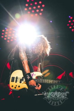 jodiwill:  Duff 💕 