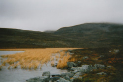 moon-sylph:  sickpage:  Polly Bird Balitro | Lapland, 2013  ☽ ⁎ ˚ * ☀ Mystique, autumn, nature ✵ ⁎ * ☾ 