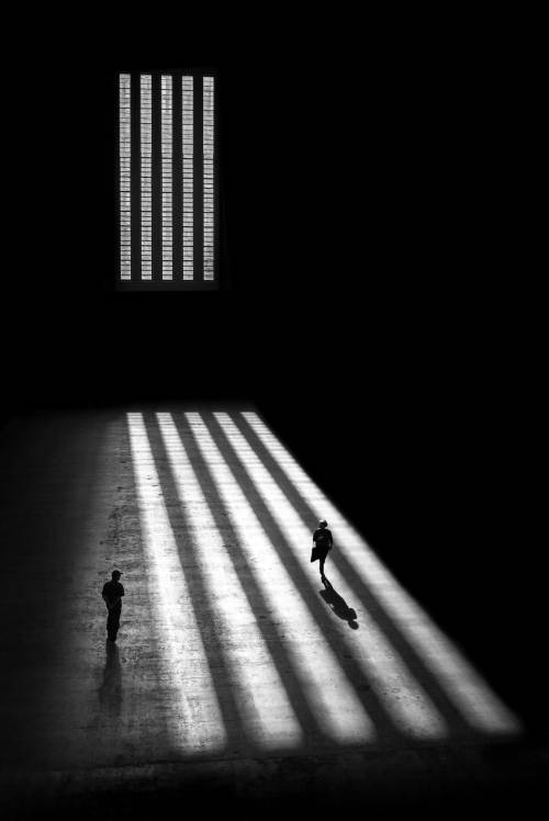 artemisdreaming: Metropolis Alan Schaller