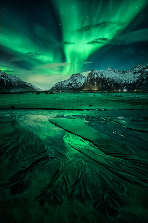 italian-luxury:  Northern Norway Night by D-P Photography  talk about the emerald