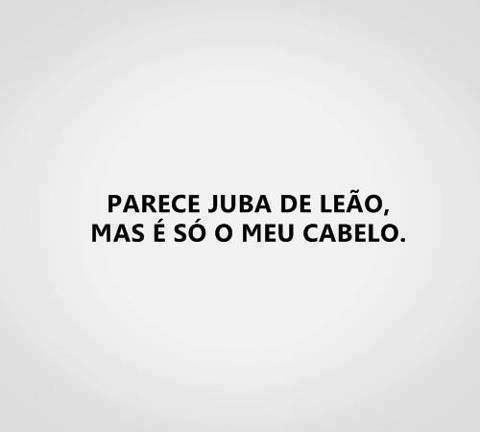 Cachos ao Vento