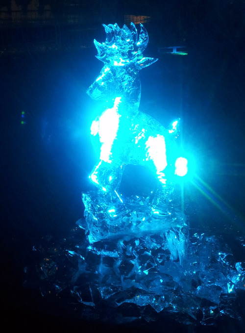 Ice carving in Piccadilly Gardens, Manchester. The LED backlighting helps and helps to show off some