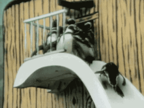gameraboy:Having a bad day? Please enjoy these penguins on a water slide!