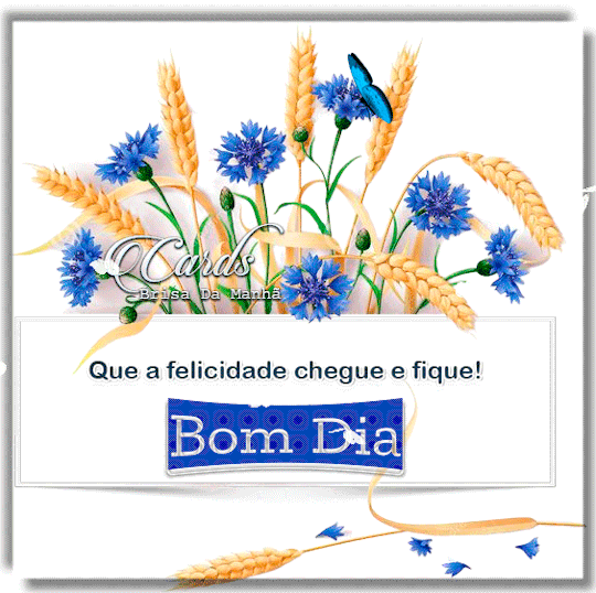 ff4a6f541b3664b7e1501c246a9cef961da049ab