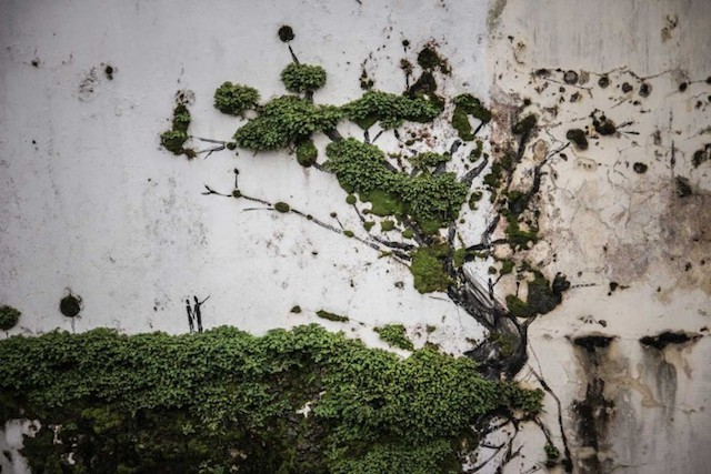 sad-plath: by Ernest Zacharevic 