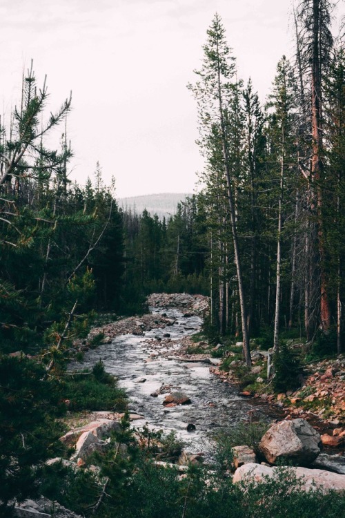 lvndscpe:Fresh air | by Cameron Kirby