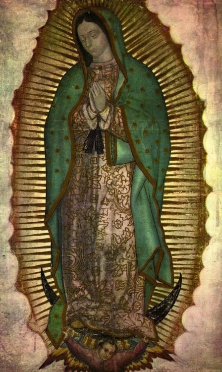 Porn Pics magictransistor:  Nuestra Señora de Guadalupe