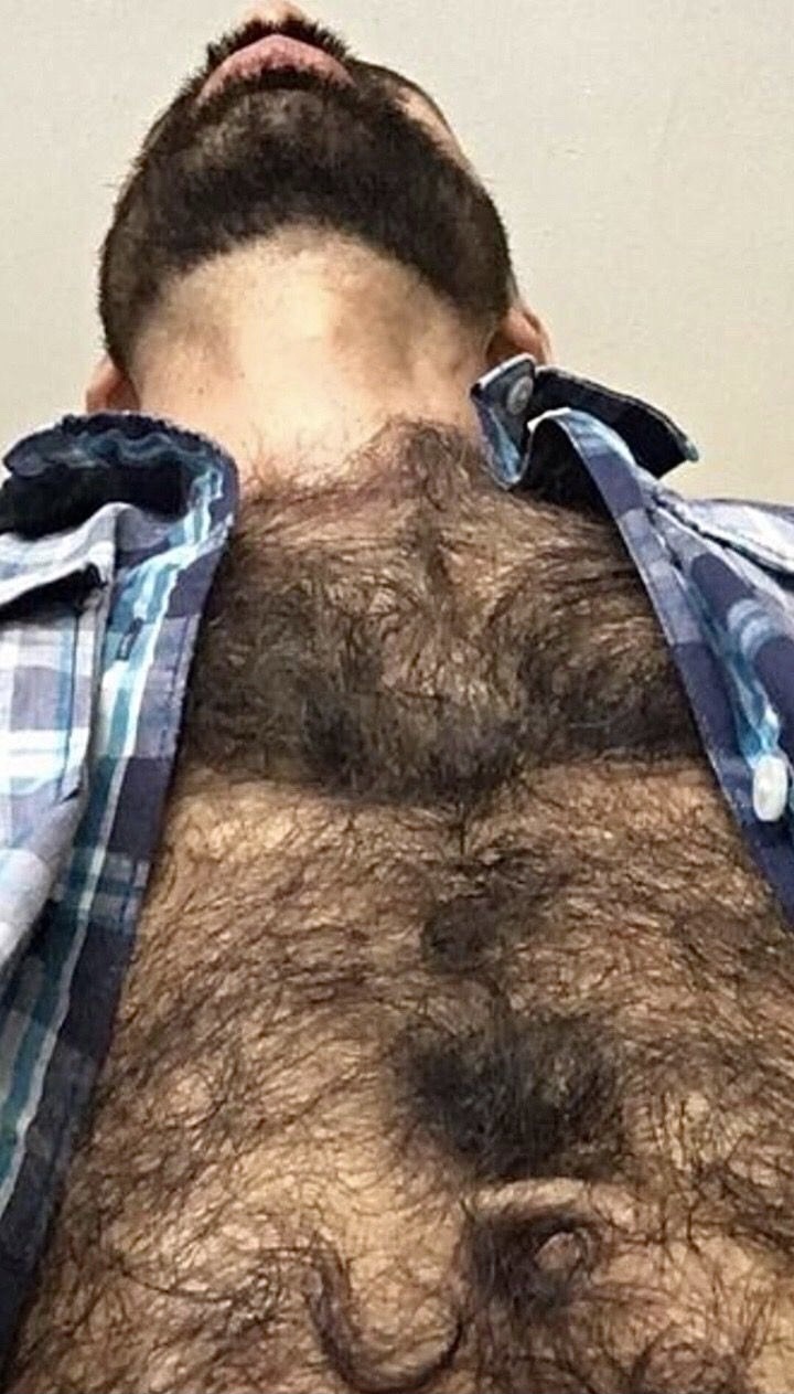 hairyobsessionss:https://hairyobsessionss.tumblr.com/Hairy Furry Men