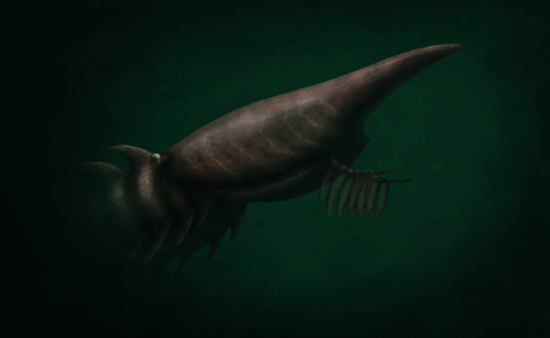 actual-haise:    The giant anomalocarid Aegirocassis really has some Lovecraftian qualities to it, doesn’t it?  Not only was it one of the largest animals to exist 480mya, it was also a filter-feeder!  