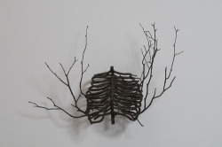 immortal-flowers:  mocaccinocat:  Branches