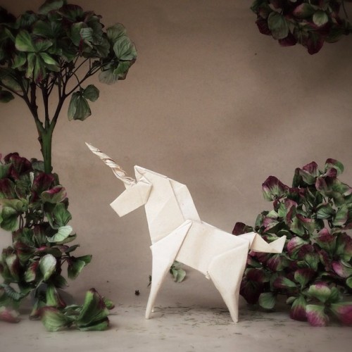 XXX instagram:  Unfolding the Art of Origami photo