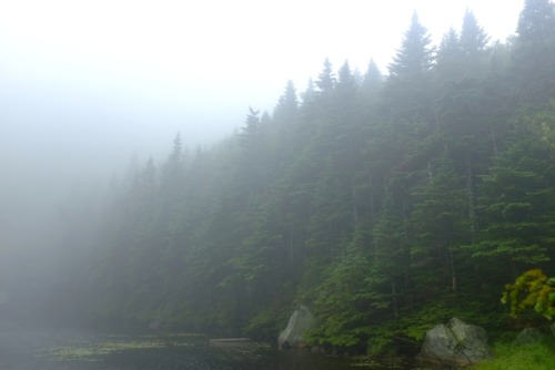 pedrodynomite:Misty mountain lake in New Hampshire.