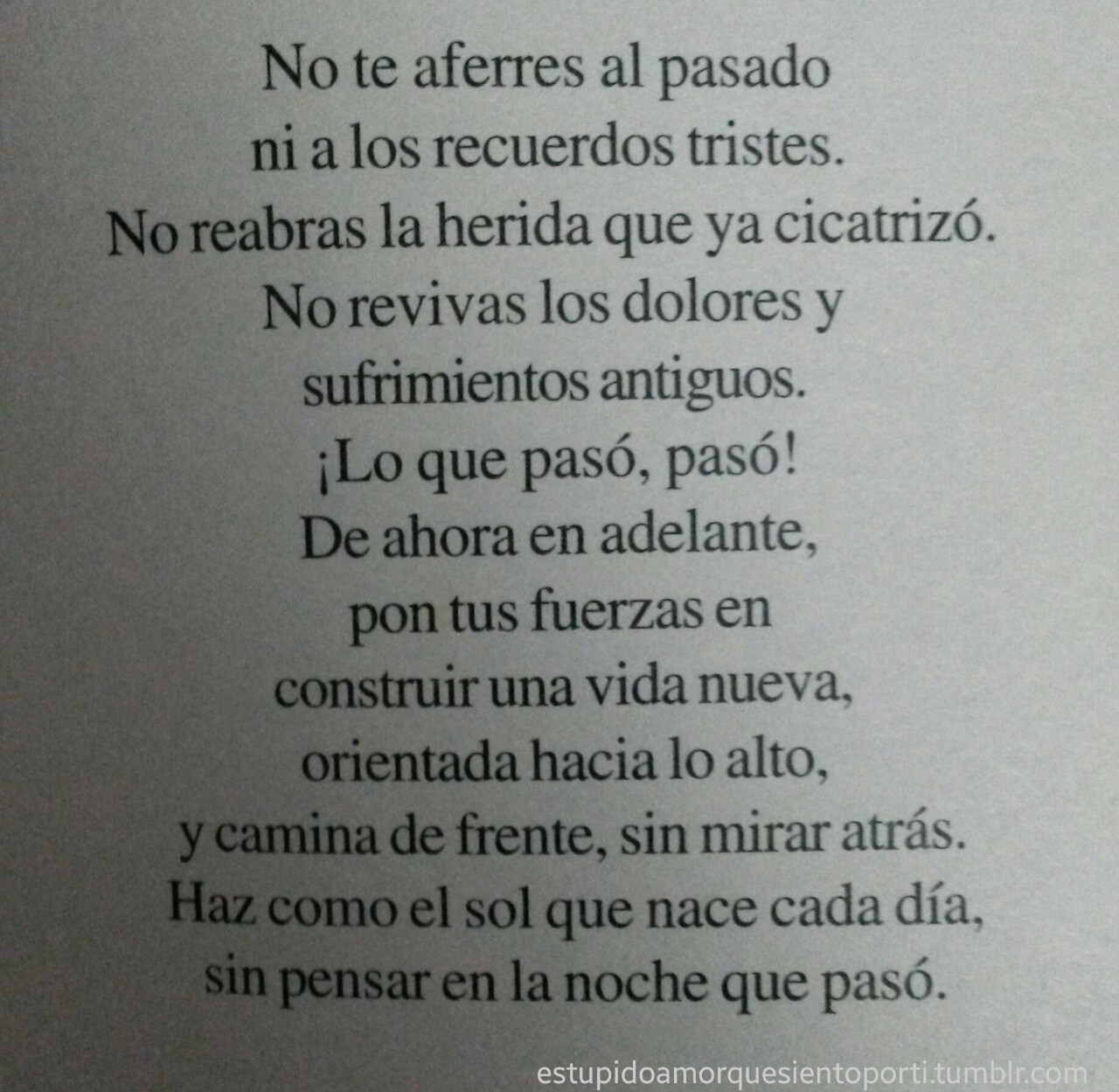 Estúpido amor que siento por ti