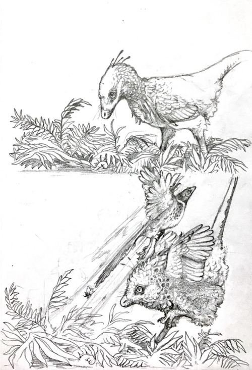 the-lunar-lorkhan: iguanodont: So apparently archaeopteryx flew like a pheasant… @cwnannwn