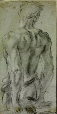 Annibale Carracci | Male Nude Seen from Behind