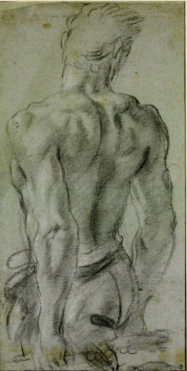 XXX Annibale Carracci | Male Nude Seen from Behind photo