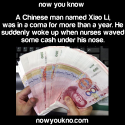 nowyoukno:  Source for more facts follow NowYouKno