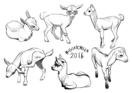 Daily sketch: Went to the annual Goat festival in SF!!! Got to pet super tiny cute baby goats!! Thes