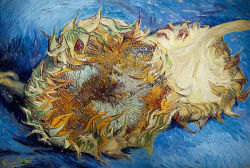 vuls:  Vincent Van Gogh ‘Sunflowers’,
