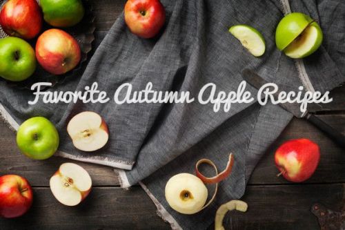 explorehandmade:  Favorite Autumn Apple Recipes One of my favorite fall activities is spending an afternoon at the apple orchard apple picking. I love bringing home bunches of delicious, sweet apples to make amazing dishes. There truly is nothing better