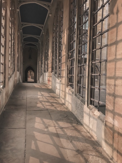 studyplants:bridge of sighs, cambridge | ig: studyplants