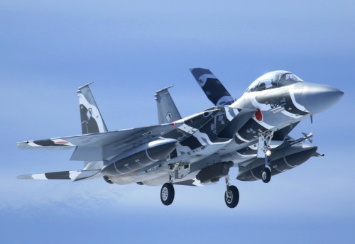 rocketumbl:  F-15DJ 