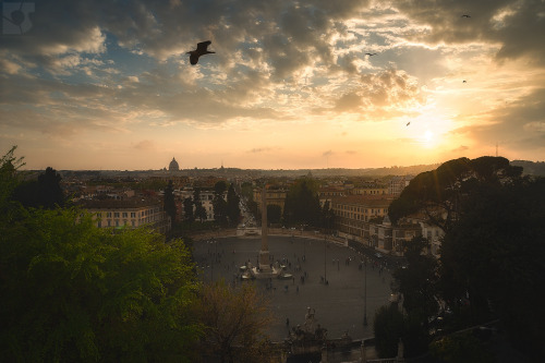 passport-life: Piazza del PopoloRoma / Italia