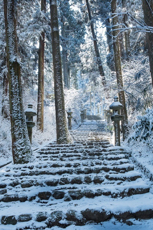 ponderation:  World to become clean blue by HarukaSuzuki