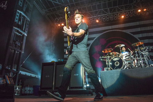 quality-band-photography:  Blink 182. by sadiefederspiel on Flickr. 