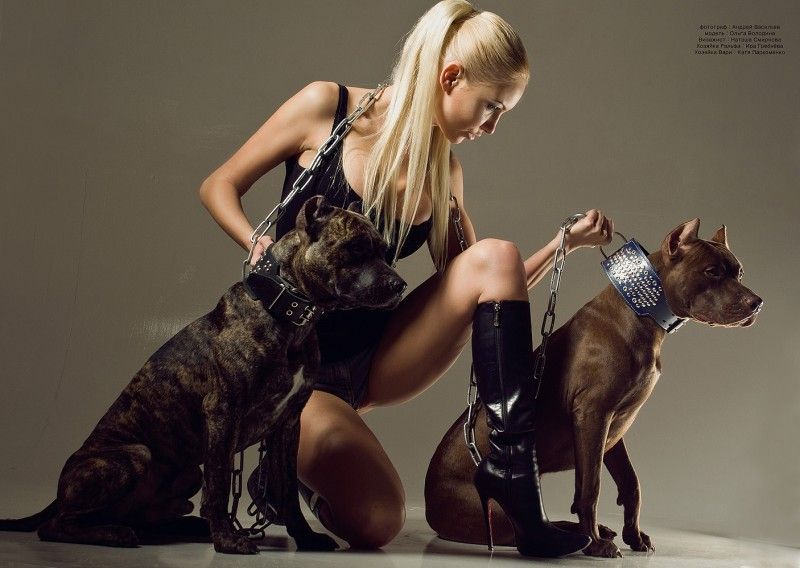 k9passion:  Olga