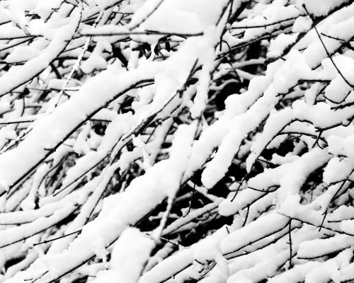 abstract on snow