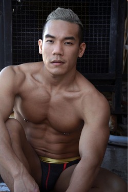 Asian Male Muscle