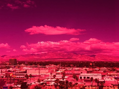 The hotel I stayed at in Vegas had pink windows and I got drunk and cried it was so beautiful